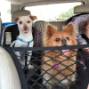 Dog Car Barrier For Back Seat - Mesh Dog Barrier For Car