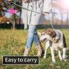 Dog Poop Bags are Disposable
