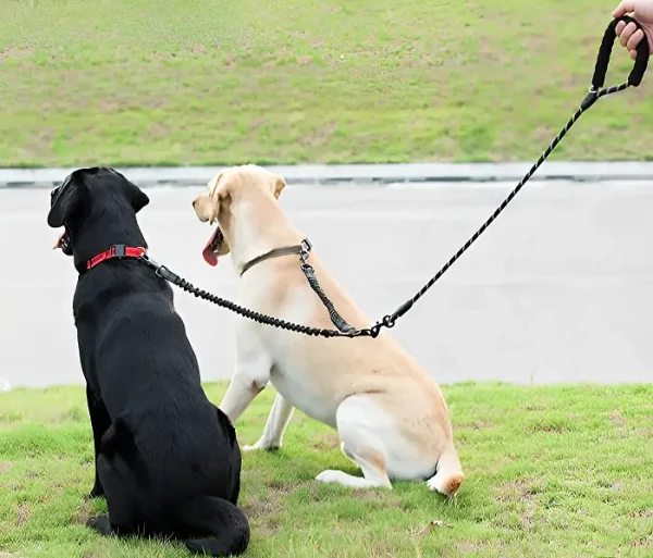 Double Connection Dog Leash